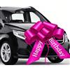 Avagiaforu Fiocco Gigante per Auto, Fiocco per Auto Grande, Grande Fiocco per Auto, Fiocco Rosso Regalo Grande, Gigante Fiocchi Automontante Riutilizzabile per Auto, Bici, Natale (Rosa rosso (compleanno))
