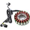 DGOINGPI Bobina statore adatta per Suzuki AN250 AN400 AN400Z Burgman 250 400 32101-14G00 32101-15G10