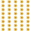 QUARKZMAN 40 Pezzi Fiori Pressati Essiccati, 0.24-0.31 Fiori Di Narciso Essiccati Pressati Colorati All'ingrosso Per Nail Art Resina Gioielli Candele Biglietti Scrapbooking Cover, Chiaro