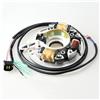 GPJTJROL for Y/a/m/a/h/a for Topteng 66t-85560-00 66t-85560 Base Assy (con Bobina di Illuminazione) Fuoribordo 40hp 40x E40x 1998-2017 Statore generatore Magnete