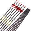 ACCMOS ID 4.2mm Freccia in Puro Carbonio 31 Pollici Spine 350 400 500 600 700 800 900 1000 Frecce di Tiro con L'Arco perArco Ricurvo Arco Composto Caccia & Pratica di Tiro 6/12 pz (6pcs, Spine 600)