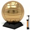 Hiboom Pallavolo dorato con espositore per pompa ad aria, per trofei, liceo, università, anniversario, allenatore, premi, feste (pallavolo, taglia 5)