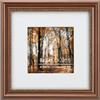 Eitida Cornice classica in legno, 20,3 x 20,3 cm, con interno decorato con perline in oro invecchiato, opaco, per foto da 12 x 12 cm, da tavolo o da parete, marrone scuro spazzolato