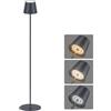 Coinmit Lampada da terra a LED con batteria, lampada da terra dimmerabile, piantana da terra senza fili ricaricabile, adatta per interna ed esterna, soggiorno, balcone, ecc. Antracite