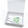 Regalami Bomboniera Caricabatterie quadrifogli, Bomboniera Originale ed Utile con Scatola Regalo Inclusa - Idea Unica per Matrimonio, Comunione, Cresima e Battesimo