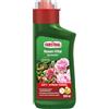 Substral 66800 Bottiglia, Verde