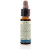 LABORATORIO ERBORISTICO DI LEO OLIVE 10ML DILEO