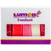 Dekozauber24 Fondant Multipack rosso, 5 colori, 100 g per colore, per decorare torte, torte e statuette, rosso ciliegia, corallo, rosa, bianco e rosso