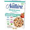 Náttúra Nattura® | Muesli Biologico Avena e Frutta Senza Glutine, Senza Latte, Senza Lievito, Senza Zuccheri Aggiunti, Senza Olio Palma, Vegano - 1 x 300 Gr