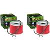 DB PARTS 2 filtri olio compatibili con Yamaha 1300 XJR SP (RP022) 1999 2000 2001