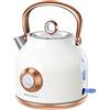 NESSGRAIM Bollitore retrò, bollitore da 1,7 l, in acciaio inox, con grande indicatore di temperatura, 2200 W, riscaldamento rapido con indicatore LED, spegnimento automatico e protezione contro il