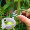 NONE 100 clip per fissaggio piante, dispositivi per appendere piante, clip per innesto, clip per piante di pomodoro, clip per legare piante di cetriolo