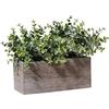 Aisamco Foglie di Eucalipto Artificiale in Scatola di Legno Rami di Eucalipto Finti Piante In Vaso Verde Grigio Artificiale per Decorazioni Floreali per Feste di Nozze
