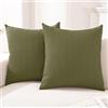 CYCMACO Federe Cuscini Divano 2 Pezzi 60x60, Copricuscini Divano Per Salotto Soggiorno, Federa Cuscino Con Cerniera Invisibile, Moderno Federa Cuscino, Per Domestica Camera Da Letto, Verde Scuro