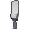 damastoreitalia Lampione Armatura Stradale LED 100 watt con sensore crepuscolare, 220V, 15000 Lumen, Luce fredda, IP65, Alluminio, Inclinazione Regolabile (Grigio - Sensore crepuscolare - 100W)