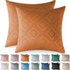 Ystyle Federe Cuscini Divano 50x50 2 Pezzi, Copricuscini Divano in Vellut per Camera da Letto Natalizie, Decorativi Federa per Salotto Soggiorno Elegante Moderni Fodere Arredo, Marrone