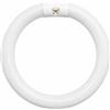 DIMELITALIA Watt 22 Watt, CONFEZIONE 1 *** Tubo fluorescente circolare t9 trifosforo 6500k per illuminazione ottimale