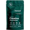 Intenson Creatina Monoidrata Polvere, 510 g, 150 Porzioni | 100% Monoidrato di Creatina Puro, Senza Aroma, Si Scioglie Facilmente, Ideale per Stili di Vita Attivi