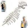 JIABAOZ Costume Scheletro Dinosauro Bambino, Scheletro Dinosauro da Indossare, Spinosaurus Plush Dino Outfit, Costume Peluche Silly Dino Bambini e Adulti Halloween Cosplay (Bianco,75cm/29.5in)