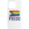 Inclusive Equality & LGBTQ Pride Co. Custodia per iPhone 15 Pro Max Bandiera Orgoglio Progresso LGBTQ Collegiate Vintage Grunge