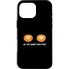 Native American Heritage For A Frybread Custodia per iPhone 16 Pro Max No, non puoi toccare questi amanti dei frybread dei nativi americani