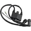 GPJTJROL for T/o/h/a/t/s/u for Mercury 3a0-06048 3a0-06048-1 160643 8m0047311 Bobina di accensione Parti del Motore fuoribordo 25 30hp con Tappo