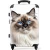 NoBoringSuitcases.com valigia grande 20-23 kg, media, trolley medio, rigida, rigido, da stiva, valigie grandi, bagaglio, leggera, medie rigide, con 4 ruote girevoli, 67 cm - 72 L, Ritratto di gatto