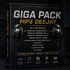 GIGA PACK MP3 OLTRE 5600 MP3 EXTENDED UNMIXED 320k DANCE EURO HOUSE TECH HOUSE