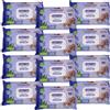 Generico Salviette Senior Igiene Adulti Maxi 20 x 28 cm, 600 pz (12 confezioni da 50 salviette) Aloe Vera, Glicerina e Vitamina E, Senza Alcool, pH Fisiologico