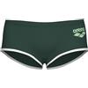 Arena Costume ARENA Short ONE Biglogo darck sage white,