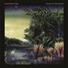 WARNER MUSIC Tango In The Night (Remastered)