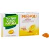 ANGELINI SPA Angelini Tantum Verde Natura Limone E Miele Integratore Mal Di Gola 15 Pastiglie