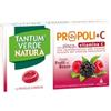 Tantum Verde Natura Frutti Di Bosco Integratore Mal Di Gola 15 Pastiglie