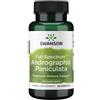 Swanson Health Products Andrographis Paniculata 400 mg 60 Capsule