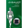 DUAL SANITALY SPA SOC.BENEFIT GIBAUD ORTHO CORS LOMB ACT V 1