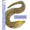 Mari C Schuh Las Anguilas (Tascabile) Animales del Océano