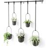 Umbra Triflora Portavasi da appendere per finestra, set di 5, Nero | Regolabile orizzontalmente e verticalmente, montaggio incluso, asta estendibile, polipropilene riciclato