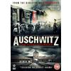 Second Sight Auschwitz - The Final Journey (DVD)