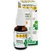 SPECCHIASOL Srl Epid Spray orale Erbe Balsamiche 15ml