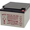 Enersys Bleiakku Genesis NP24-12, VDS