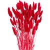 PuntoCasaStore Mazzetto Fiori Artificiali Coda di Topo 60 Pz Steli Decorativi per Bomboniere 2026 Segnaposto Composizioni Floreali Fai da Te Decorazioni Eventi Matrimonio (Rosso)