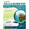 Maria Miller Math Mammoth Grade 3 Skills Review Workbook Answer Key (Tascabile)