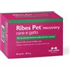 NBF LANES Ribes Pet Recovery Cane e Gatto 60 perle - Mangime complementare per la dermatosi