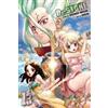 Riichiro Inagaki Dr. STONE, Vol. 13 (Tascabile) Dr. STONE