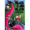 Richard Fairgra Black Sand Beach 2: Do You Remember the Summer Befor (Tascabile)
