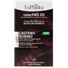 ZETA FARMACEUTICI SpA Euphidra ColorPRO XD 465 Castano rubino