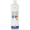 Flora Primavera Bellessere: Shampoo Preventivo Caduta 1 Litro