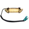GPJTJROL for Tohatsu for N/i/s/s/a/n for Mercury 369-06021 369-06021-0 36906021 T5-05000200 Bobina di Carica Motore fuoribordo M NS 5hp 4hp