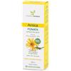 Farmaderbe Arnica - Pomata ad azione antinfiammatoria e lenitiva, 100 ml