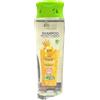 Generico AlmaprofShop dermo shampoo BIOCARE biologico con olii naturali senza parabeni, siliconi,coloranti, sles, sls, peg 250ml (Ristrutturante per ricci e crespi con cheratina e pantenolo)